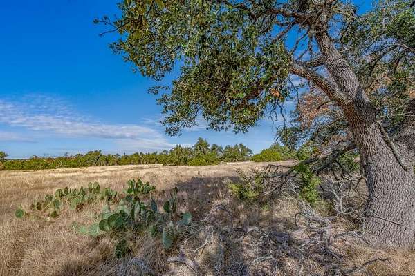 18.1 Acres of Land for Sale in Harper, Texas