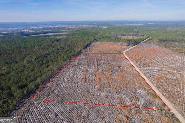 14 Acres of Land for Sale in Odum, Georgia