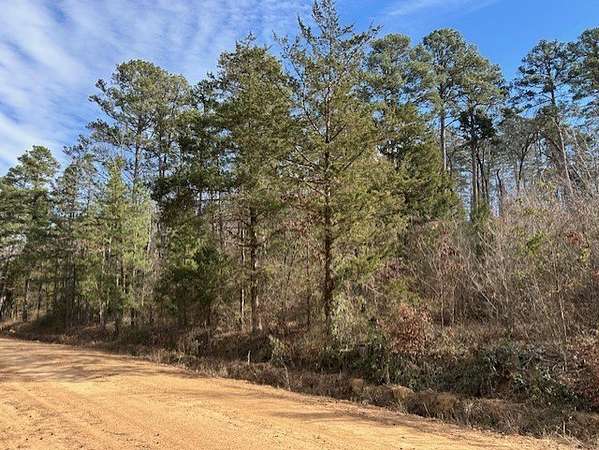 61.9 Acres of Land for Sale in Danville, Arkansas