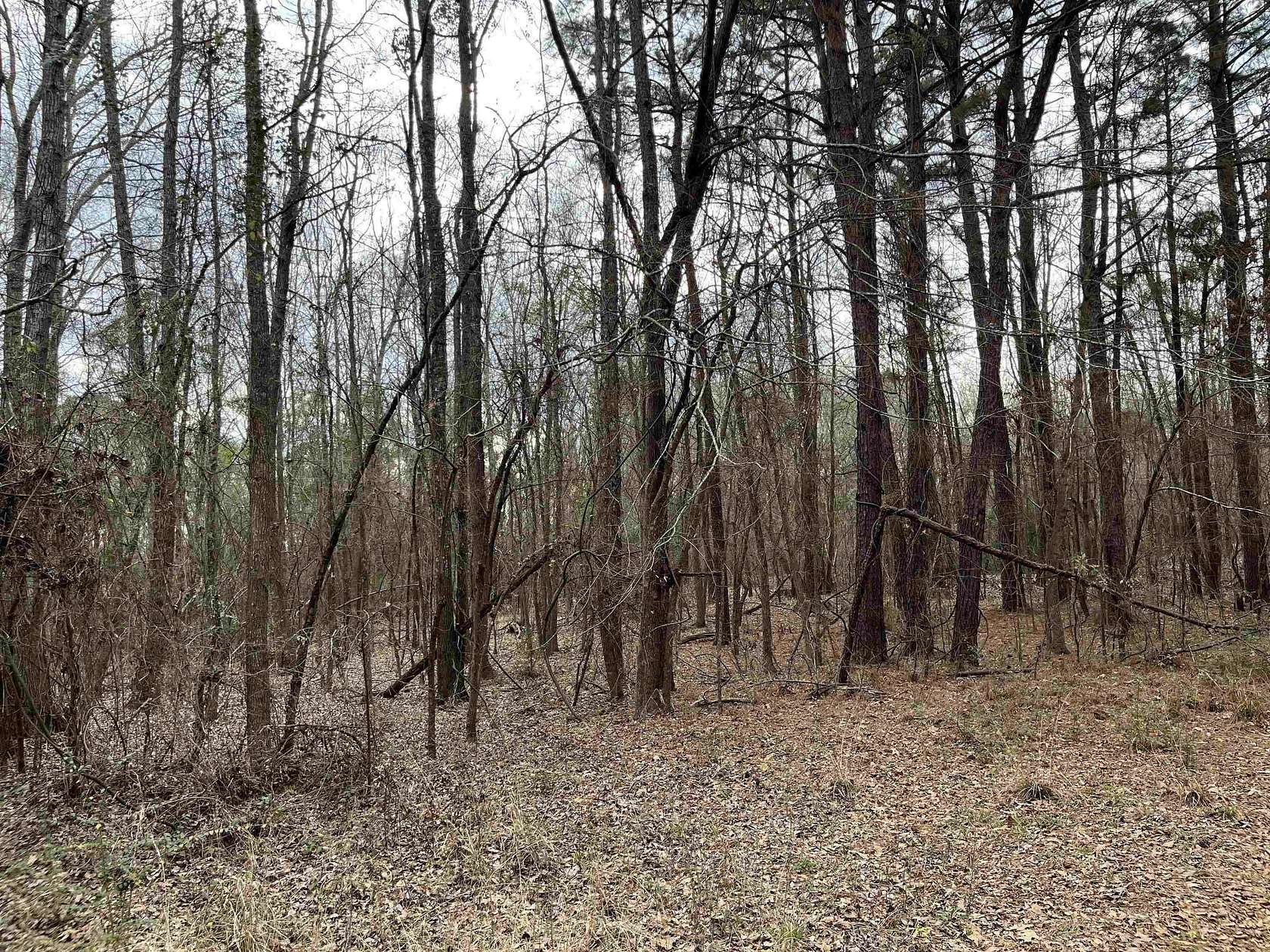 10.2 Acres of Recreational & Residential Land for Sale in White Oak, Texas