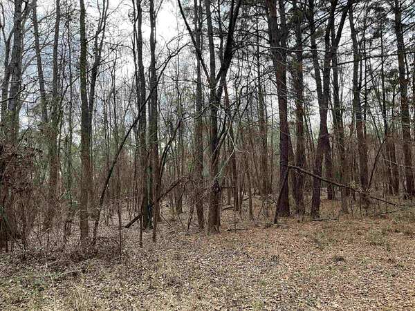 10.2 Acres of Recreational & Residential Land for Sale in White Oak, Texas
