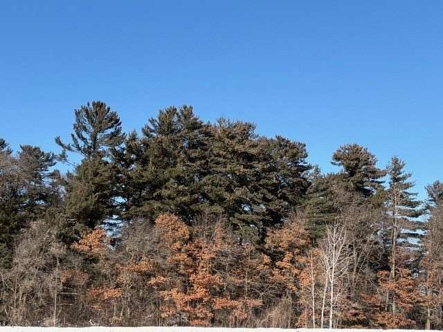 2 Acres of Land for Sale in Cornucopia, Wisconsin