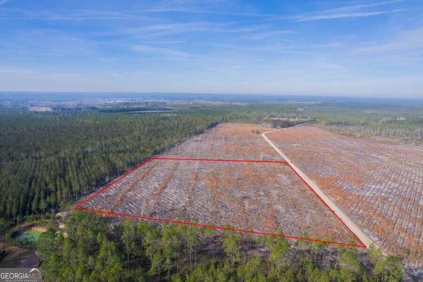 17 Acres of Land for Sale in Odum, Georgia