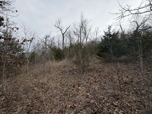 5 Acres of Residential Land for Sale in Forsyth, Missouri