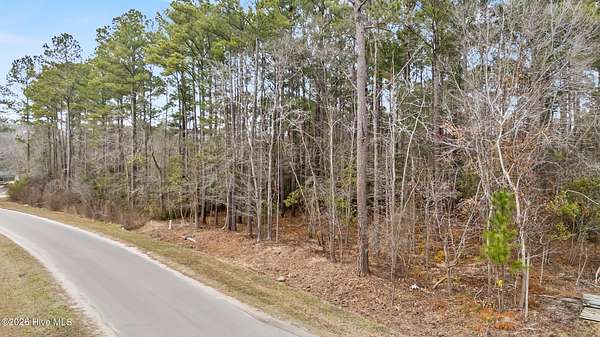 1 Acre of Residential Land for Sale in Burgaw, North Carolina