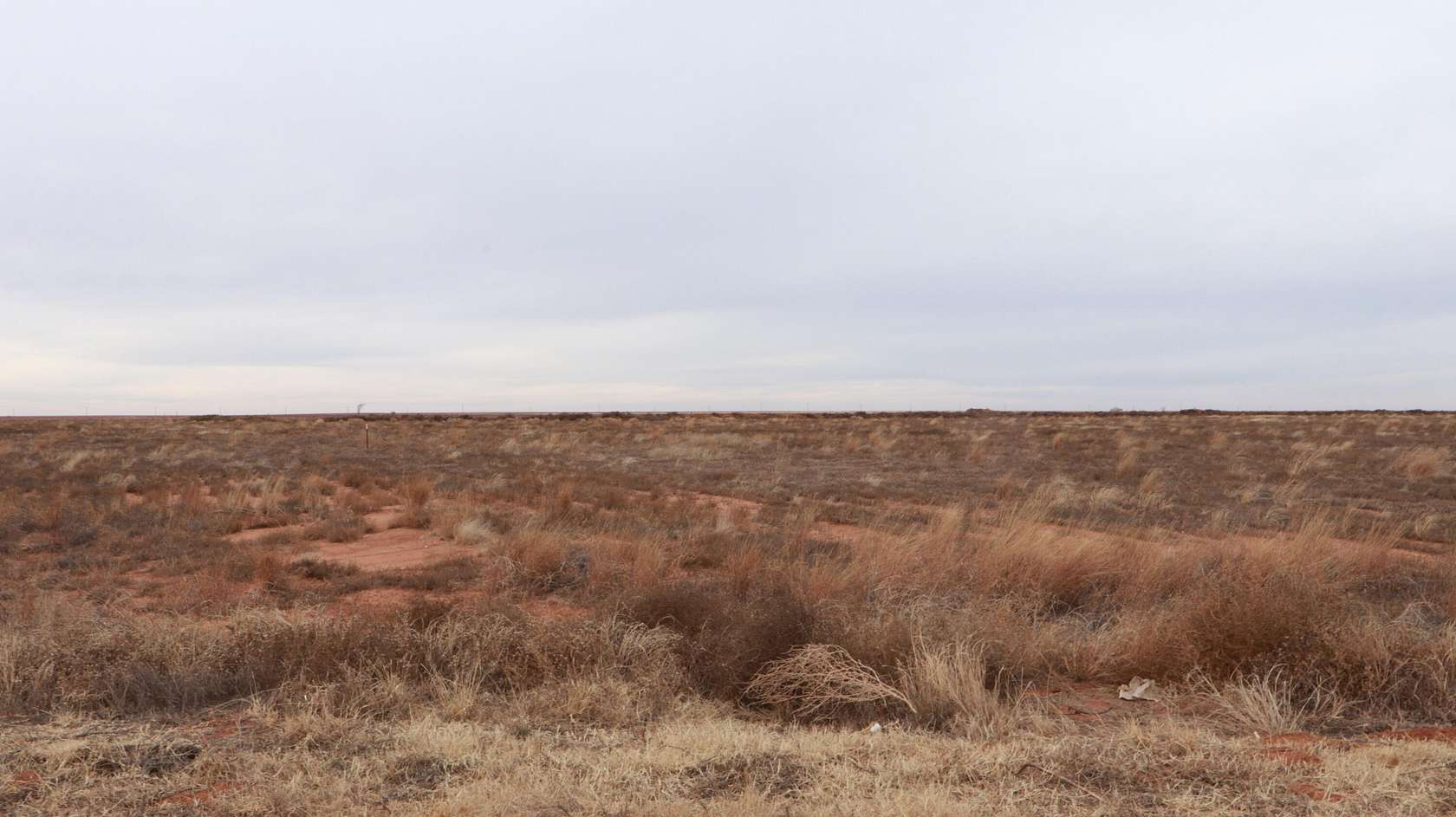 10 Acres of Residential Land for Sale in Whitharral, Texas