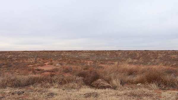 10 Acres of Residential Land for Sale in Whitharral, Texas