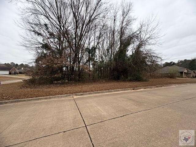 0.36 Acres of Residential Land for Sale in Wake Village, Texas