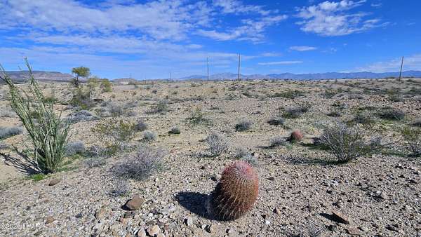 37 Acres of Land for Sale in Yucca, Arizona