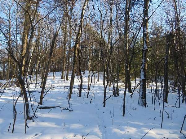 2 Acres of Land for Sale in Amery, Wisconsin