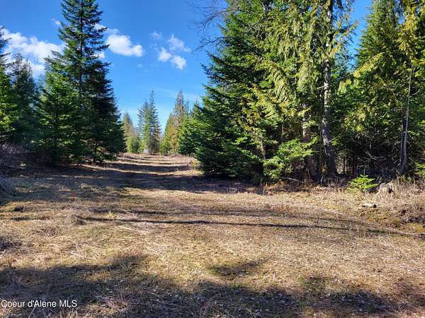 20 Acres of Land for Sale in Harrison, Idaho