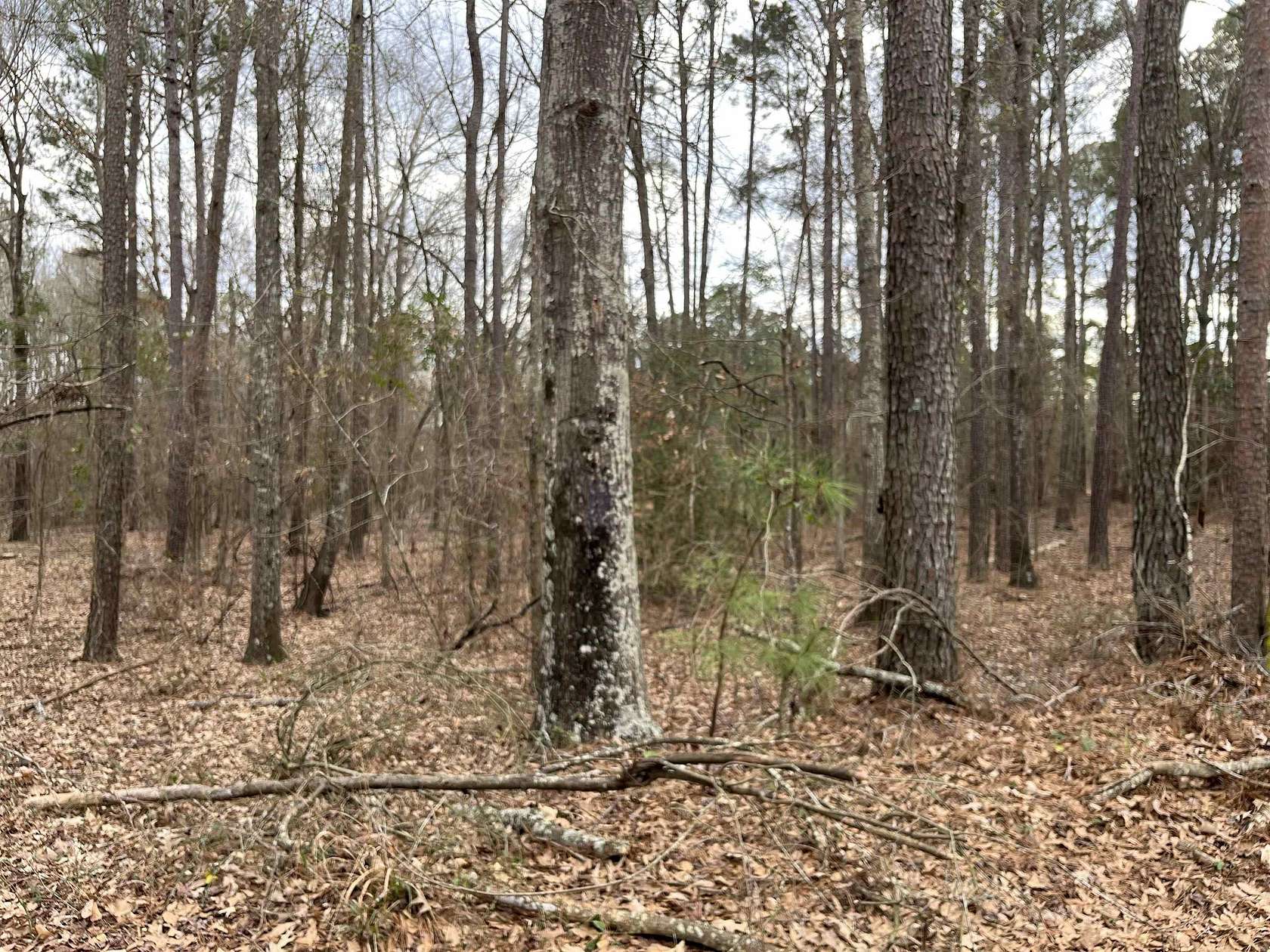 15 Acres of Recreational & Residential Land for Sale in White Oak, Texas