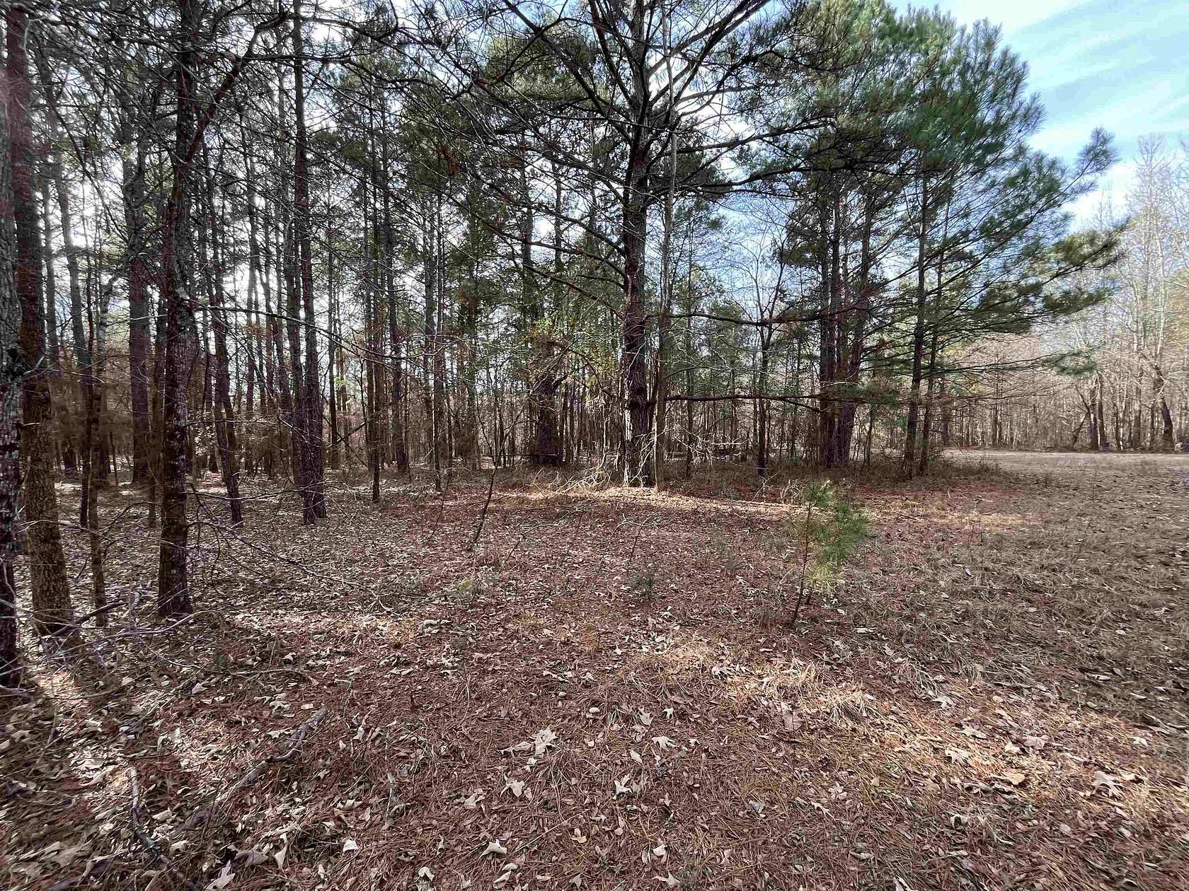 10.1 Acres of Recreational & Residential Land for Sale in White Oak, Texas