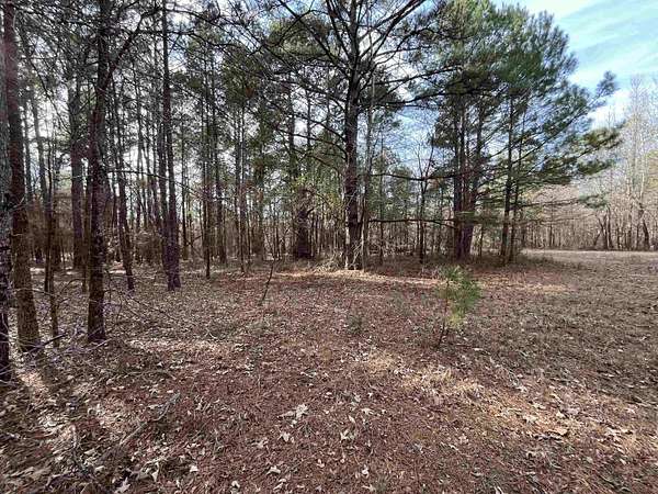 10.1 Acres of Recreational & Residential Land for Sale in White Oak, Texas