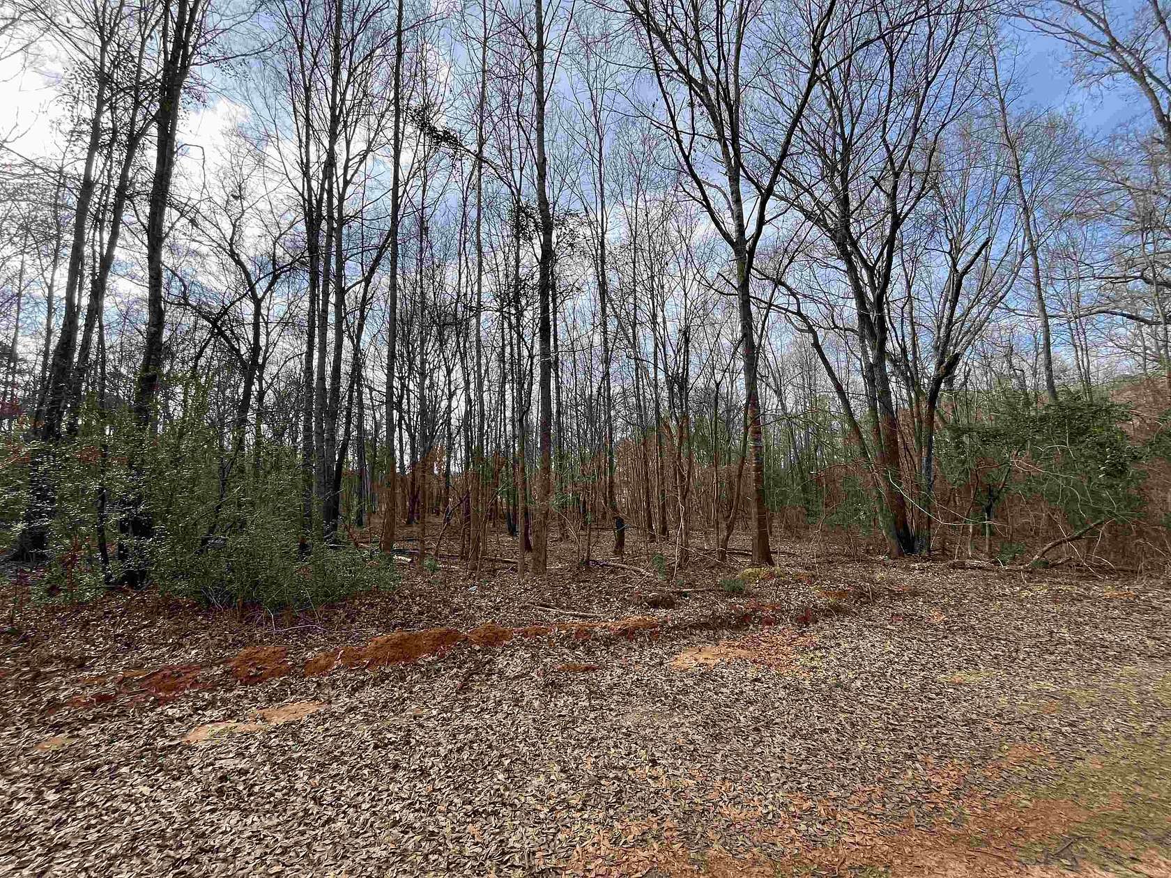 16 Acres of Recreational & Residential Land for Sale in Gladewater, Texas