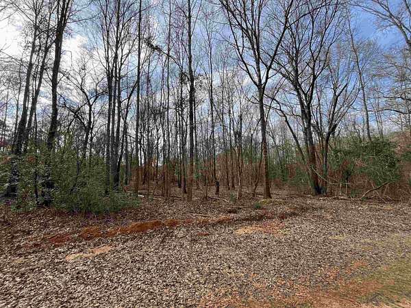 16 Acres of Recreational & Residential Land for Sale in Gladewater, Texas