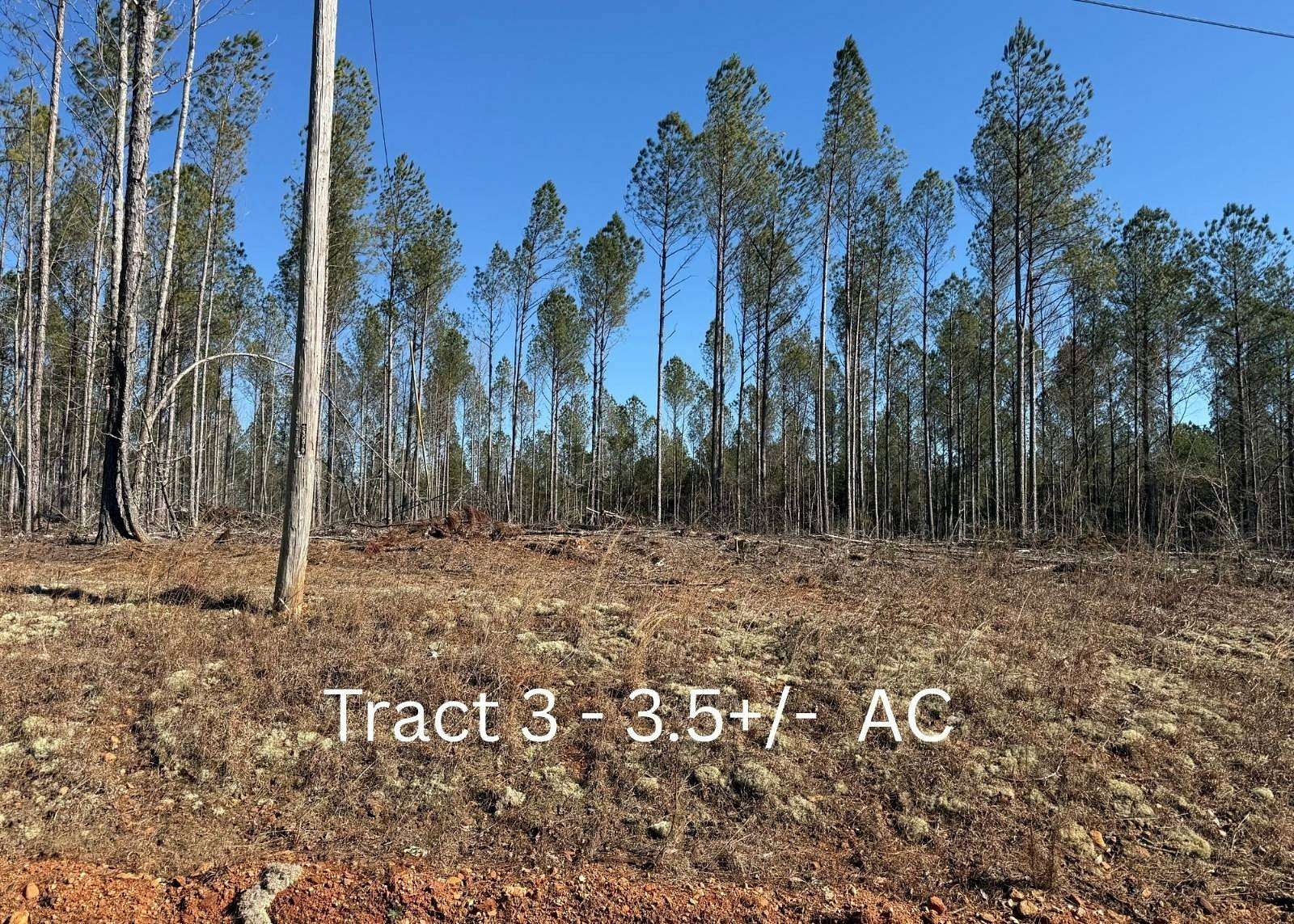 3.5 Acres of Land for Sale in Wedowee, Alabama