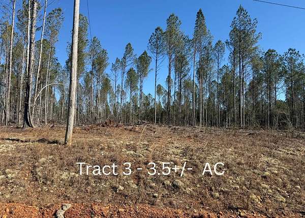 3.5 Acres of Land for Sale in Wedowee, Alabama