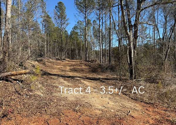 3.5 Acres of Land for Sale in Wedowee, Alabama