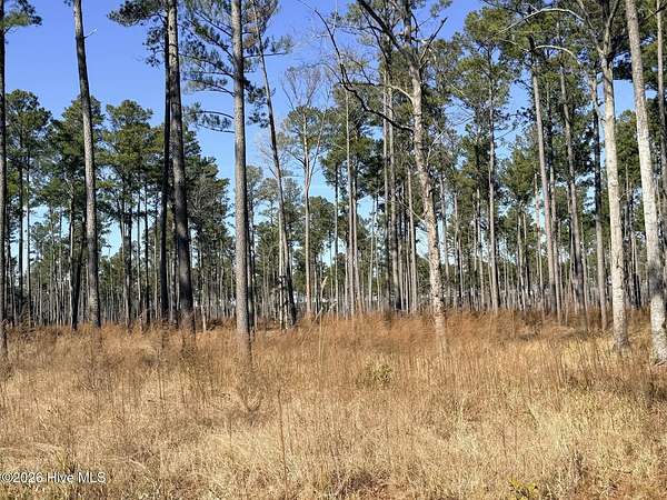 80.2 Acres of Land for Sale in Chocowinity, North Carolina