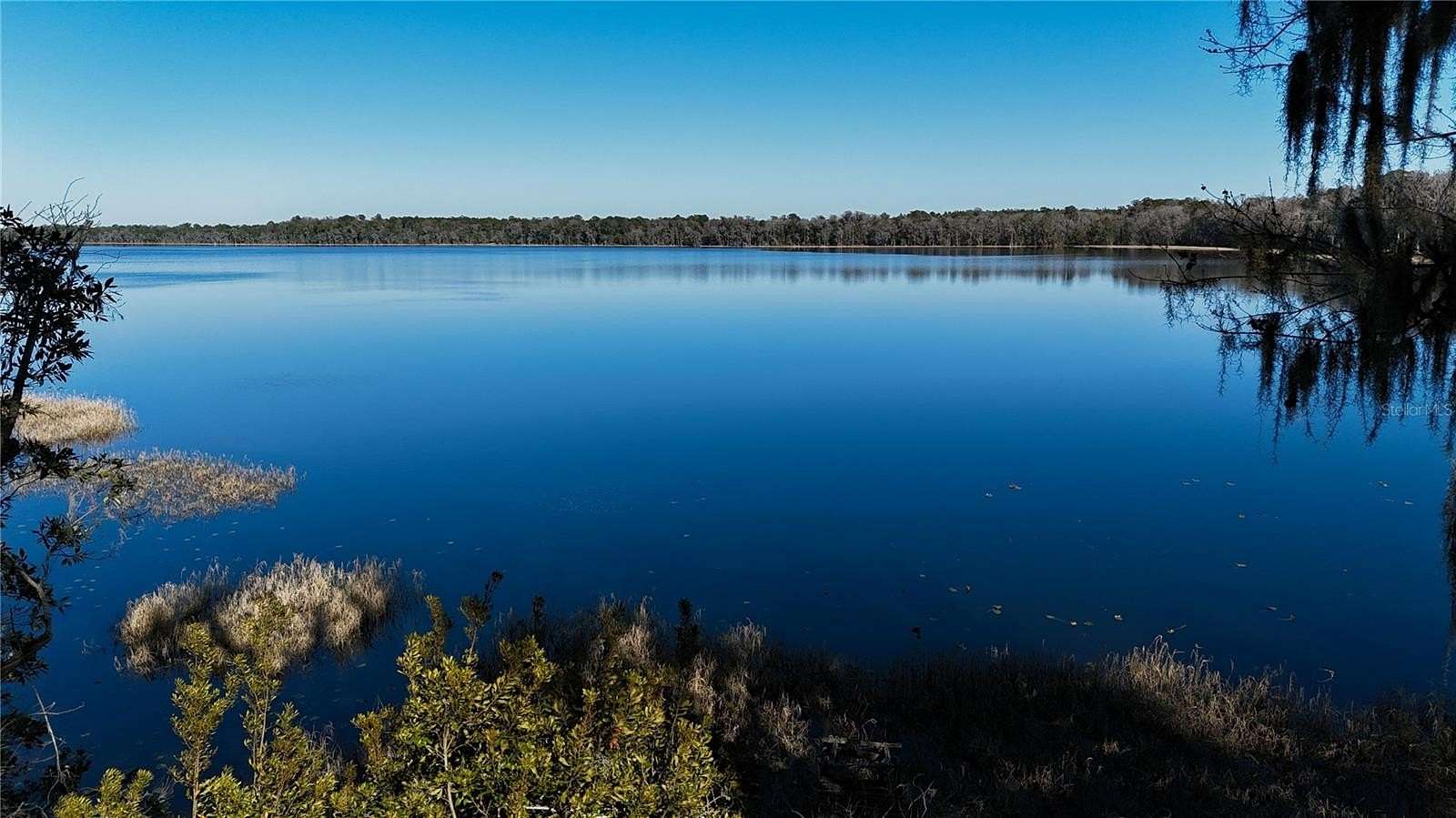 3.3 Acres of Residential Land for Sale in Waldo, Florida