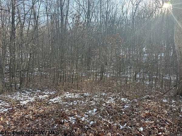 1 Acre of Residential Land for Sale in Montrose, West Virginia