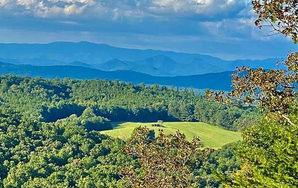 17.2 Acres of Recreational Land with Home for Sale in Blairsville, Georgia
