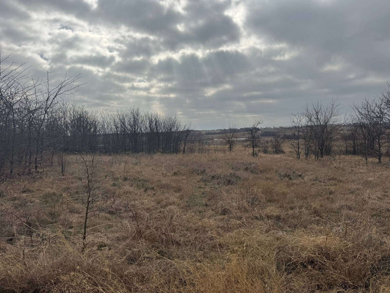 98.4 Acres of Land for Sale in Decatur, Texas