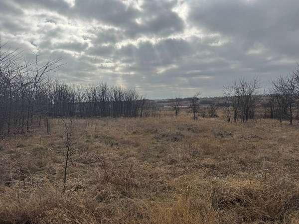 98.4 Acres of Land for Sale in Decatur, Texas