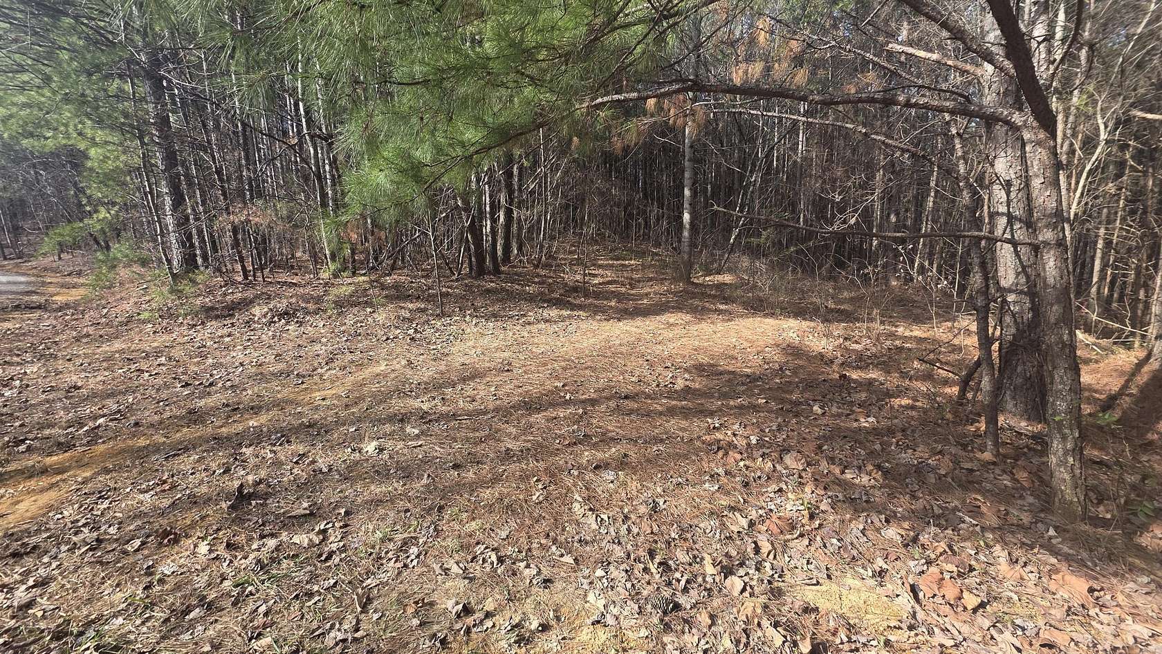 6.66 Acres of Residential Land for Sale in Oldfort, Tennessee