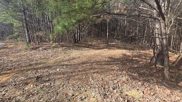 6.66 Acres of Residential Land for Sale in Oldfort, Tennessee