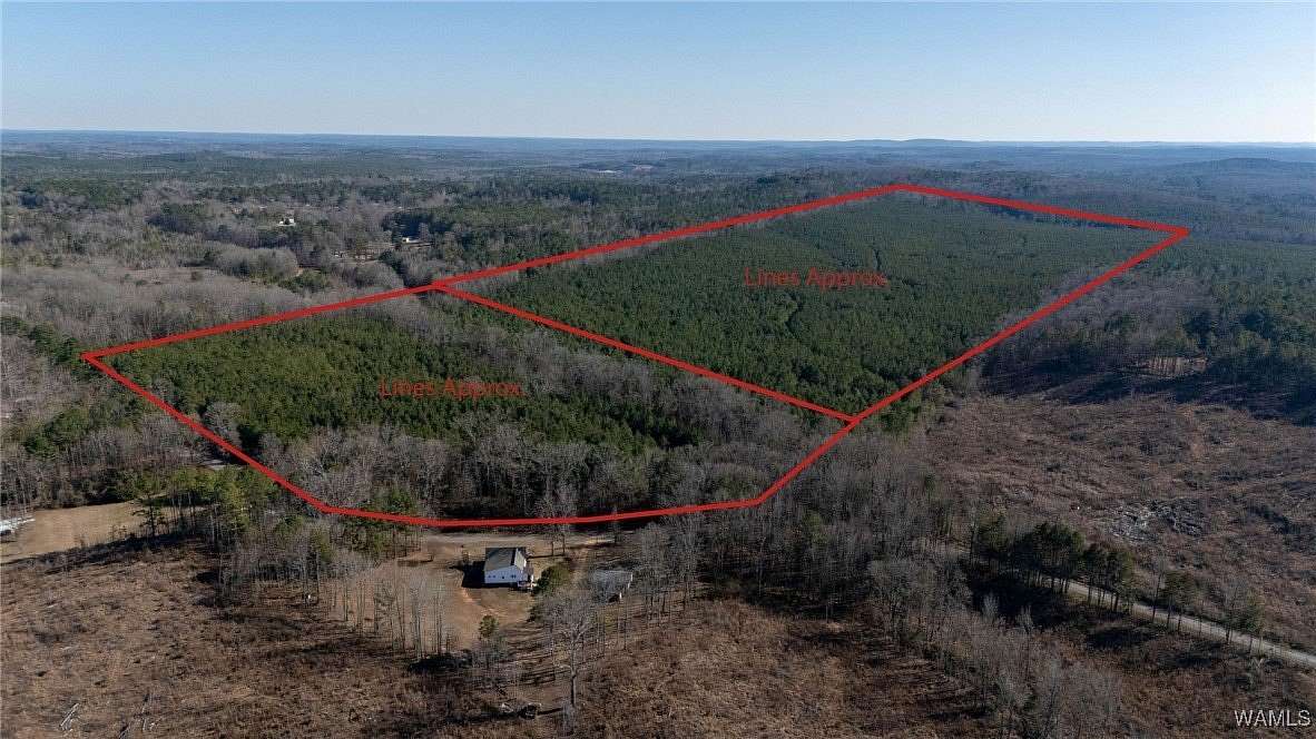 117 Acres of Land for Sale in Winfield, Alabama