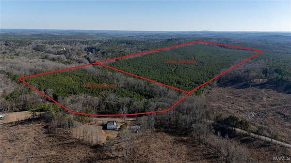 117 Acres of Land for Sale in Winfield, Alabama