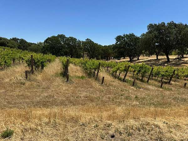 18.6 Acres of Land for Sale in Livermore, California