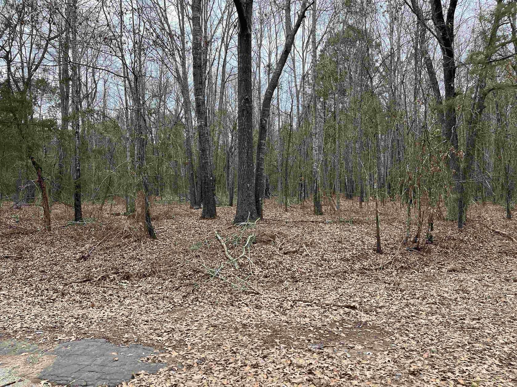 10.7 Acres of Recreational & Residential Land for Sale in White Oak, Texas