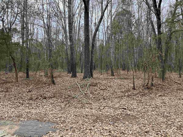 10.7 Acres of Recreational Land for Sale in Gladewater, Texas