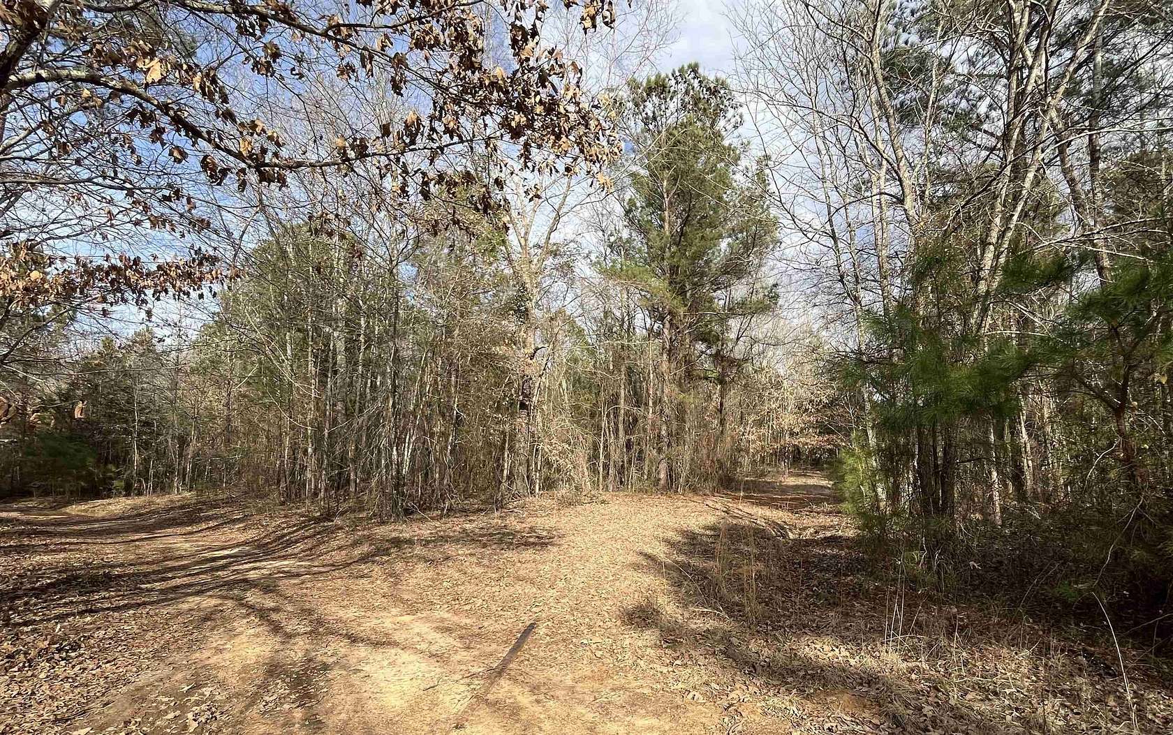 20 Acres of Recreational & Residential Land for Sale in White Oak, Texas