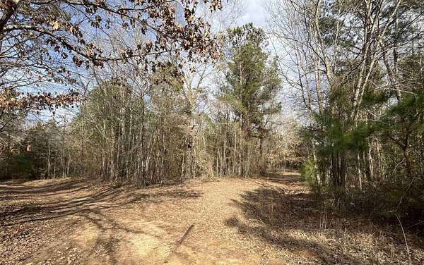 20 Acres of Recreational & Residential Land for Sale in White Oak, Texas