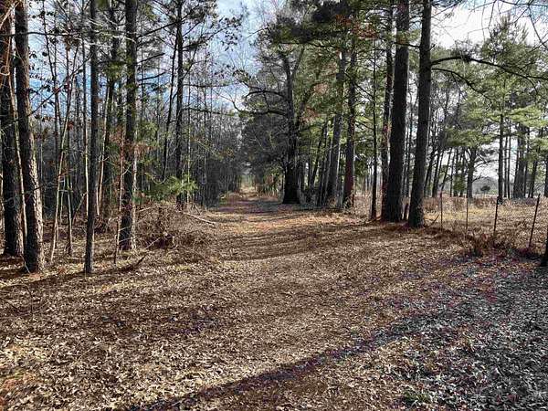 38.3 Acres of Recreational & Residential Land for Sale in Gladewater, Texas
