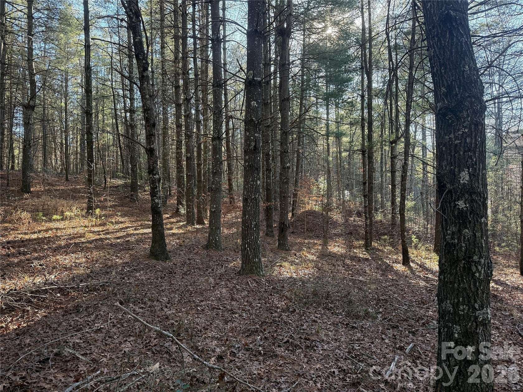 1.75 Acres of Residential Land for Sale in Nebo, North Carolina