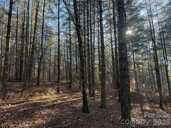 2 Acres of Residential Land for Sale in Nebo, North Carolina