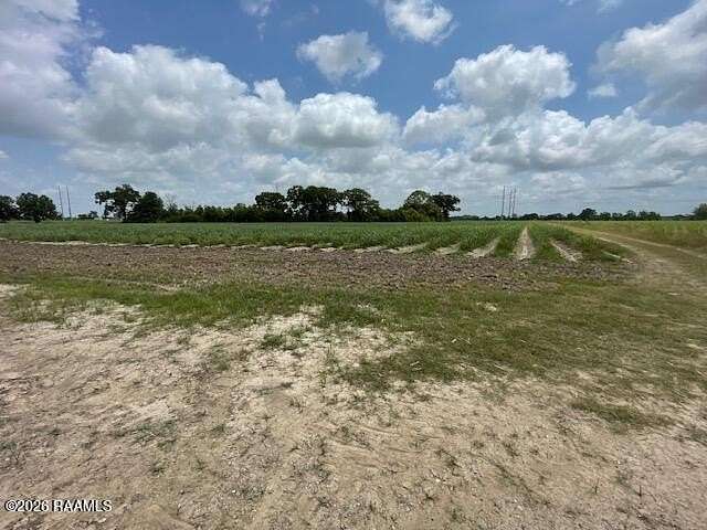 24.2 Acres of Land for Sale in Abbeville, Louisiana