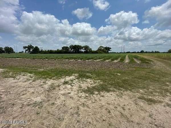 24.2 Acres of Land for Sale in Abbeville, Louisiana