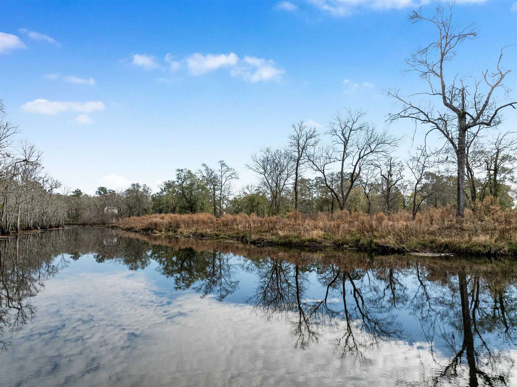 21.8 Acres of Recreational Land for Sale in Andrews, South Carolina