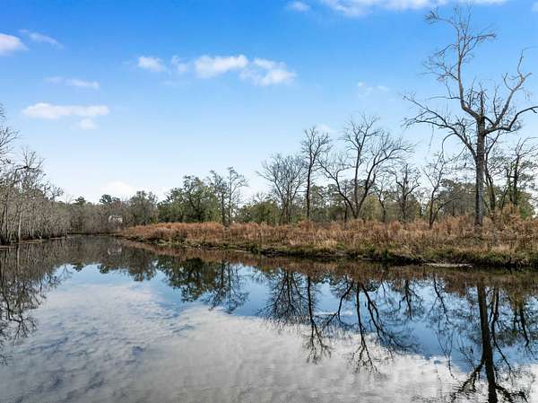 21.8 Acres of Recreational Land for Sale in Andrews, South Carolina