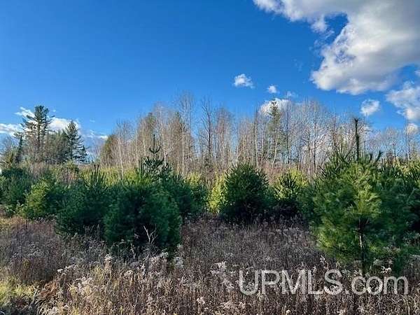 11.5 Acres of Recreational & Residential Land for Sale in Amberg Town, Wisconsin