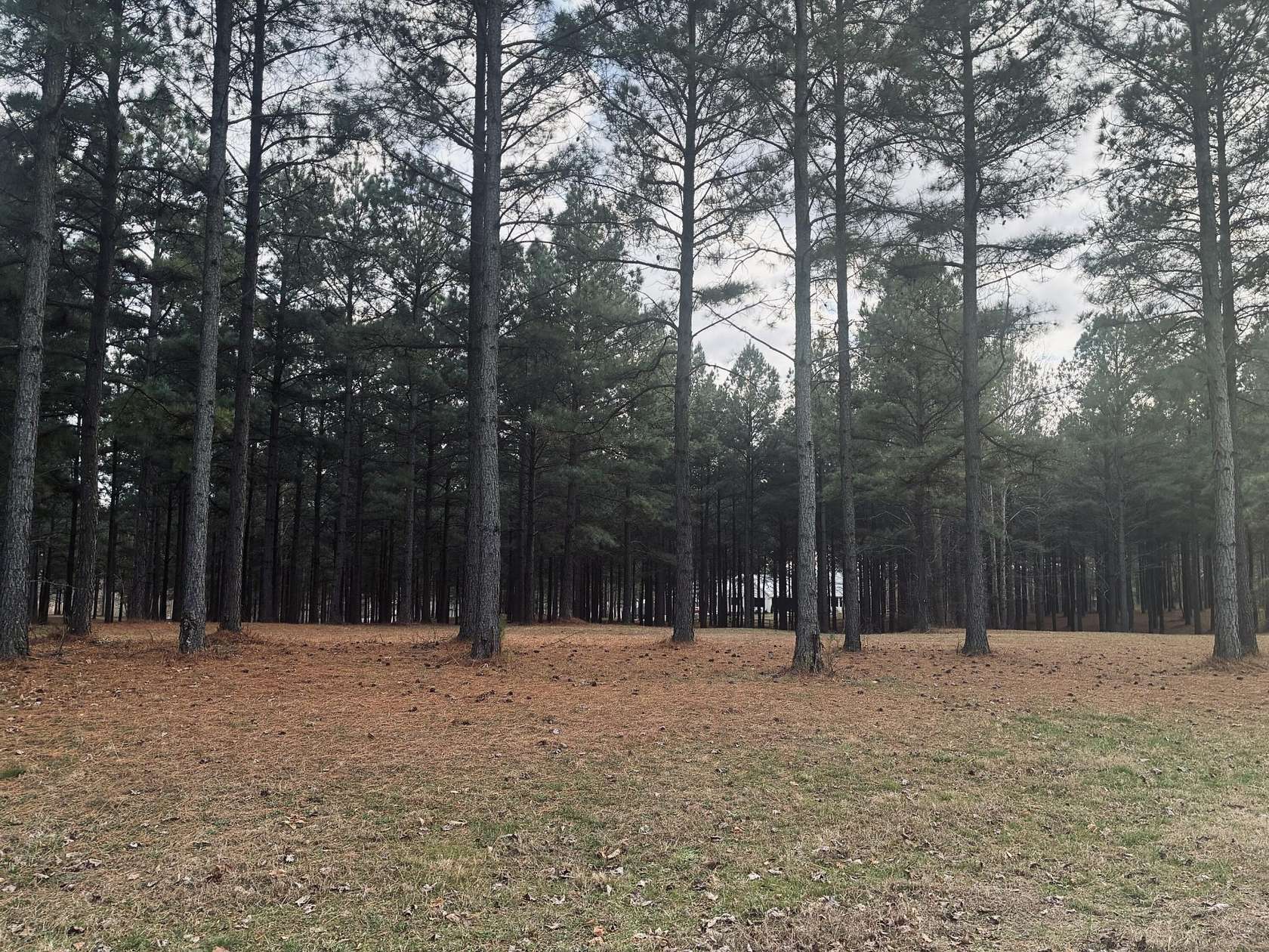 1.6 Acres of Residential Land for Sale in Jasper, Tennessee
