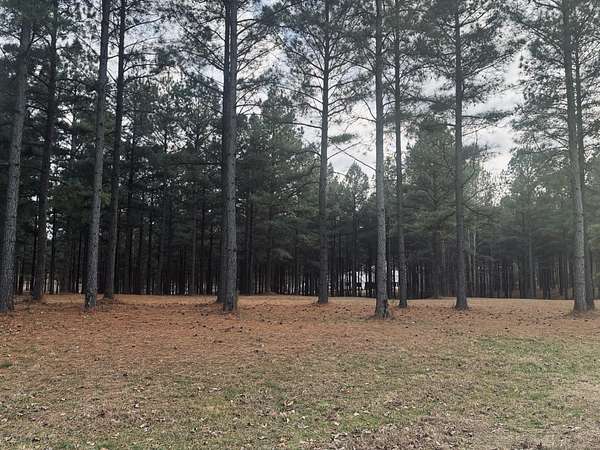 1.6 Acres of Residential Land for Sale in Jasper, Tennessee