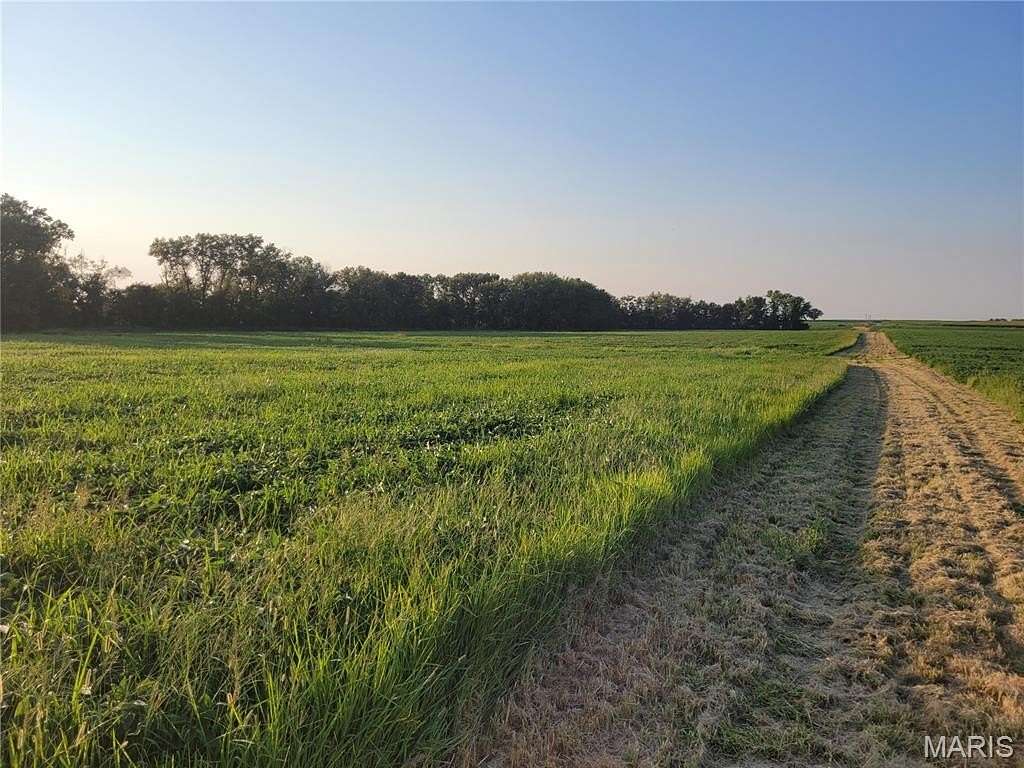 46 Acres of Land for Sale in Bellflower, Missouri