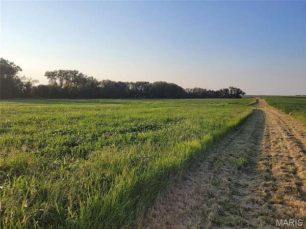 46 Acres of Land for Sale in Bellflower, Missouri